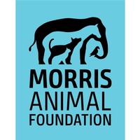 Morrison Animal Foundation